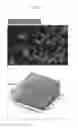Fig. 07 - COSMETIC COMPOSITION FOR IMPROVING SKIN ELASTICITY