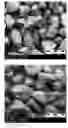 Fig. 01 - IMMEDIATE RELEASE, ABUSE DETERRENT PHARMACEUTICAL COMPOSITIONS