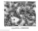 Fig. 01 - Substance-containing vesicle, and production method therefor