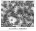 Fig. 01 - Substance-containing vesicle, and production method therefor