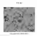 Fig. 06 - Substance-containing vesicle, and production method therefor