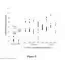 Fig. 06 - Lipid comprising polyunsaturated fatty acids