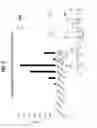 Fig. 03 - Fatty acids as anti-inflammatory agents
