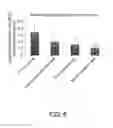 Fig. 07 - Method for protecting mitochondria in retina cell