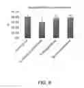 Fig. 09 - Method for protecting mitochondria in retina cell