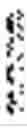 Fig. 06 - MULTIMERIC COMPOUNDS OF A KRINGLE DOMAIN FROM THE HEPATOCYTE GROWTH FACTOR / SCATTER FACTOR (HGF/SF)