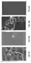 Fig. 09 - Eukaryotic Cells with Artificial Endosymbionts for Multimodal Detection