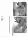 Fig. 09 - Adhesion Preventing Material