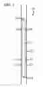 Fig. 02 - Degasification apparatus