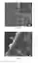 Fig. 07 - COMPOSITE MOLECULAR SIEVE MEMBRANE, PREPARATION PROCESS AND USE THEREOF