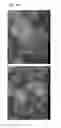 Fig. 06 - Linear inorganic coordination polymer, metal complex compound, and metal nanostructure and catalyst composition comprising the same