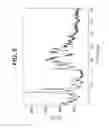 Fig. 07 - Novel Forms of [R-(R*,R*)]-2-(4-Fluorophenyl)-Beta, Gamma-Dihydroxy-5-(1-Methylethyl)-3-Phenyl-4-[(Phenylamino)carbonyl]-1H-Pyrrole-1-Heptanoic Acid Calcium Salt (2:1)