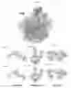 Fig. 02 - Crystal structure of the large ribosomal subunit from 