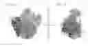 Fig. 03 - Crystal structure of the large ribosomal subunit from 