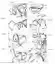 Fig. 04 - Crystal structure of the large ribosomal subunit from 