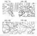 Fig. 06 - Crystal structure of the large ribosomal subunit from 