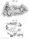 Fig. 13 - Crystal structure of the large ribosomal subunit from 