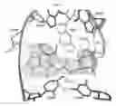Fig. 15 - Crystal structure of the large ribosomal subunit from 