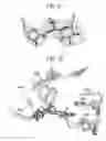 Fig. 17 - Crystal structure of the large ribosomal subunit from 