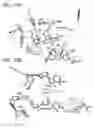 Fig. 18 - Crystal structure of the large ribosomal subunit from 