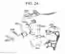 Fig. 19 - Crystal structure of the large ribosomal subunit from 