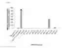 Fig. 02 - BMP-2 PEPTIDES AND METHODS OF USE