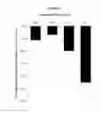 Fig. 07 - Glucagon-receptor selective polypeptides and methods of use thereof
