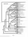Fig. 02 - Factor VIII proteins having ancestral sequences, expression vectors, and uses related thereto