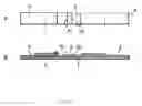 Fig. 02 - Immunological detection method and kit for 