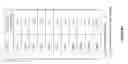 Fig. 09 - Antibodies against notch 3