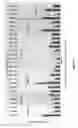 Fig. 43 - Antibodies against notch 3