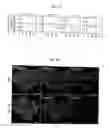 Fig. 02 - Reducing systemic regulatory T cell levels or activity for treatment of disease and injury of the CNS