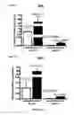 Fig. 02 - MODULATING ADIPOSE TISSUE AND ADIPOGENESIS