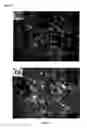 Fig. 09 - MODULATING ADIPOSE TISSUE AND ADIPOGENESIS
