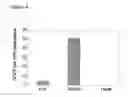 Fig. 09 - ISOLATION OF ADULT MULTIPOTENTIAL CELLS BY TISSUE NON-SPECIFIC ALKALINE PHOSPHATASE