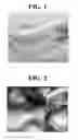 Fig. 02 - Highly functional polyamide polymer, spinning dope composition containing same, and molded product thereof