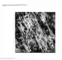 Fig. 06 - Vulcanized polymer blends
