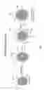 Fig. 02 - Capsules having surfactant tethered outer shells and methods for making same