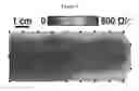 Fig. 09 - Enhanced conductivity, adhesion and environmental stability of printed graphene inks with nitrocellulose