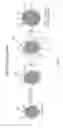 Fig. 02 - Microcapsules having dual reagents separated by the capsule wall and methods for making same