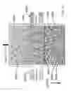 Fig. 41 - Acoustic perfusion devices