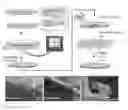 Fig. 01 - Thin film cell encapsulation devices