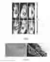 Fig. 04 - Thin film cell encapsulation devices