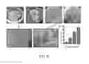 Fig. 06 - Thin film cell encapsulation devices