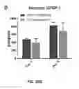 Fig. 28 - Hydrogel Comprising A Scaffold Macromer Crosslinked With A Peptide And A Recognition Motif