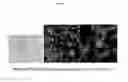 Fig. 07 - Method of differentiating human pluripotent stem cells into primitive macrophages