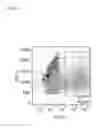 Fig. 02 - Universal killer T-cell