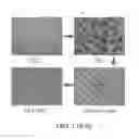 Fig. 02 - Mesenchymal-like stem cells derived from human embryonic stem cells, methods and uses thereof