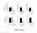 Fig. 07 - Mesenchymal-like stem cells derived from human embryonic stem cells, methods and uses thereof