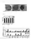 Fig. 02 - Compositions and methods to promote erythropoiesis